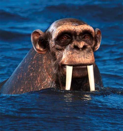 [�� �������]